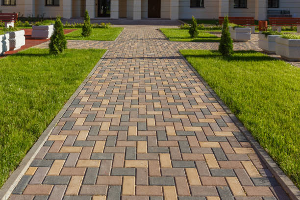 Best Driveway Paving Contractor  in Hamlin, TX